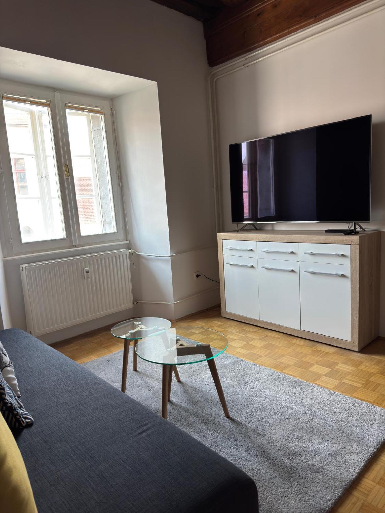 Appartamento Center Lubiana